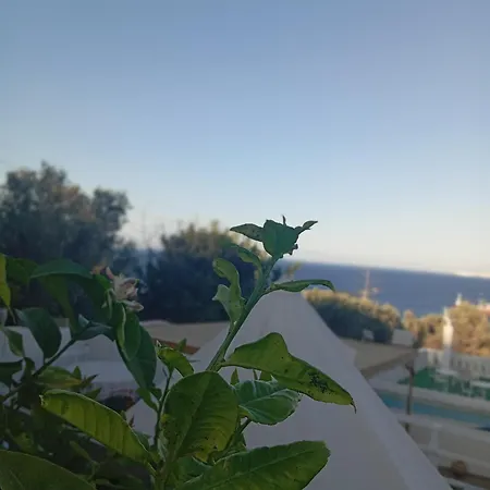 Campismo de Luxo Queens Luxury Glamping Palaiokastro (Crete)